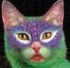 Parrot of Doom's Avatar