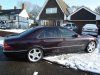 mercedes-s320-cdi-purple%20006_jpg.jpg