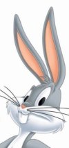 4352030-bugs.jpg