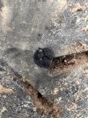 IMG_1629.jpeg