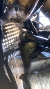 IMG_9078.jpeg