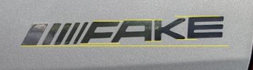 Fake.jpg
