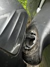 IMG_5803.jpeg