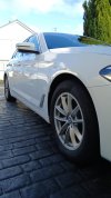 IMG_3531.jpeg